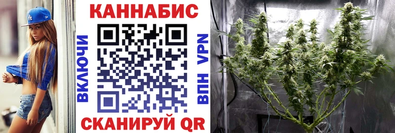 мега вход  Светогорск  Канабис гибрид  купить наркотики цена 